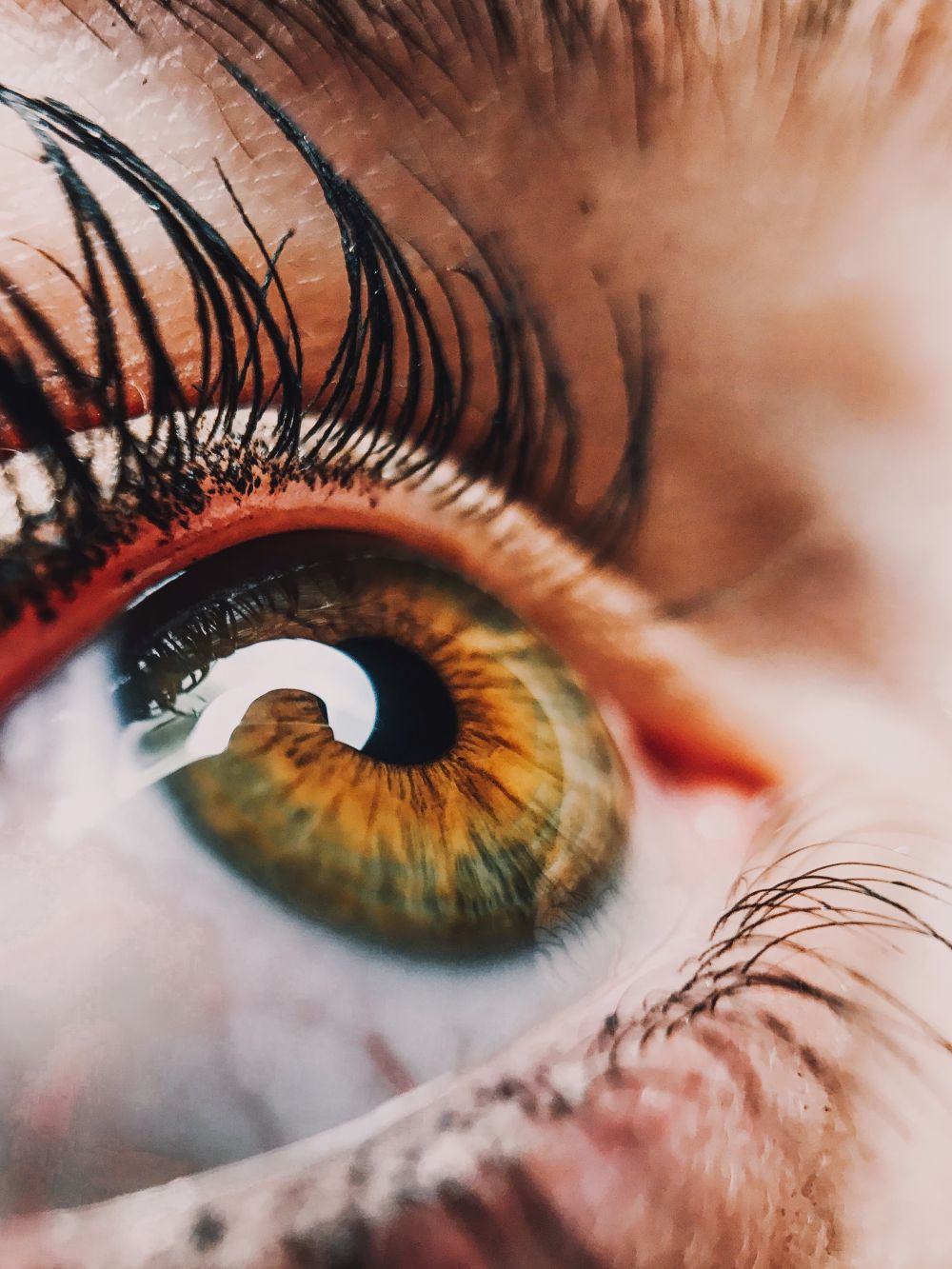 Ögonspecialist i Stockholm – professionell vård för dina ögon